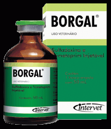 Borgal